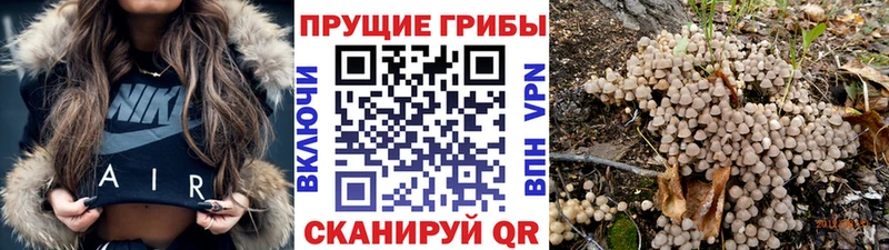 Псилоцибиновые грибы MAGIC MUSHROOMS  Купить  Артёмовский 